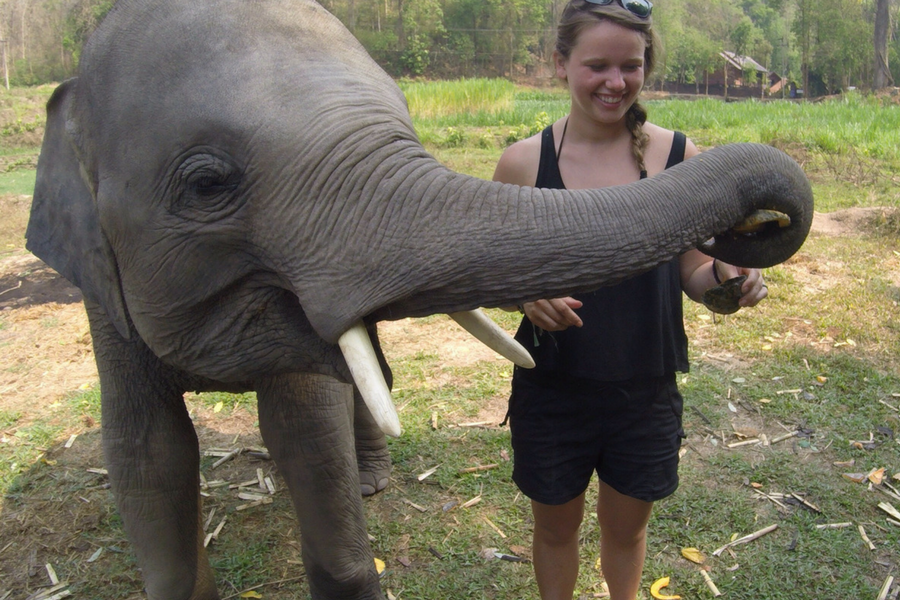 Feeding a baby Asian elephant in the Chiang Mai Family Sanctuary