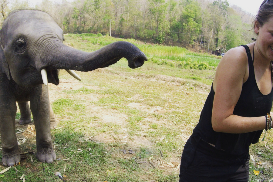 Getting chased by a baby asian elephant in Chiang Mai over some delicious squash