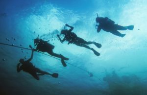 Scuba Diving in Koh Tao