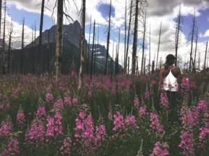 Glacier National Park - Hike to Virginia Falls