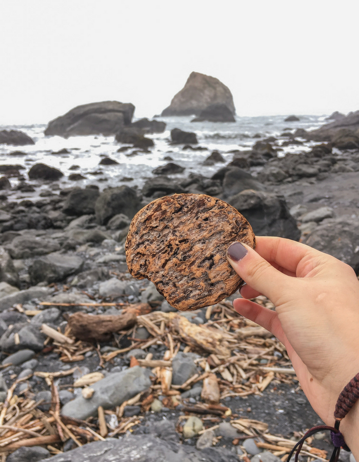 An odd piece of driftwood at one of the Redwoods many beaches