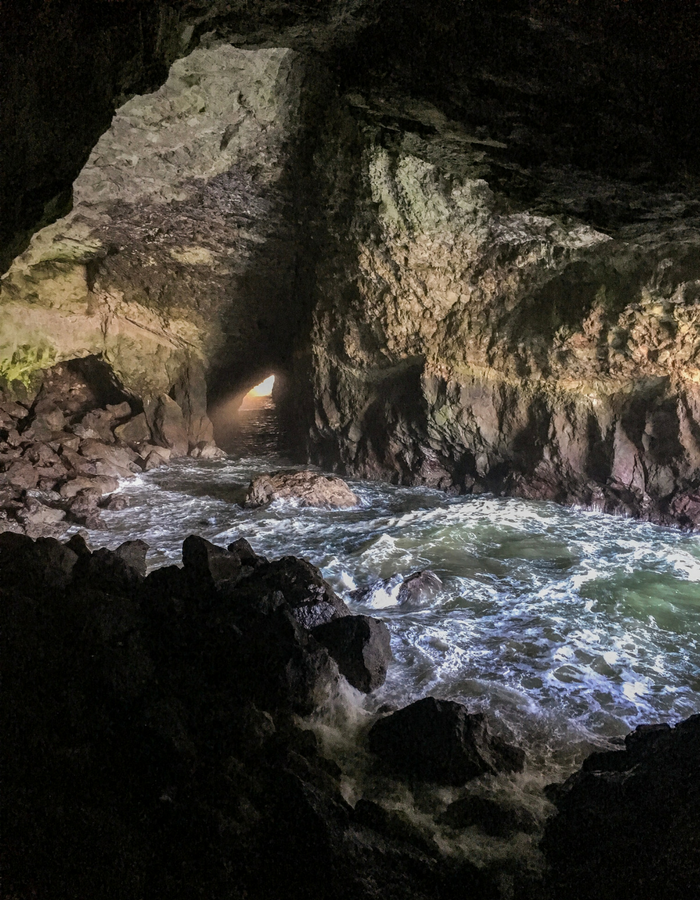 Sea Lion Caves, a popular attraction along the Oregon Coast Highway