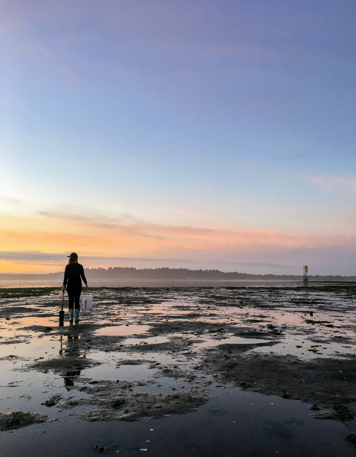 Clamming near Coos Bay at sunset