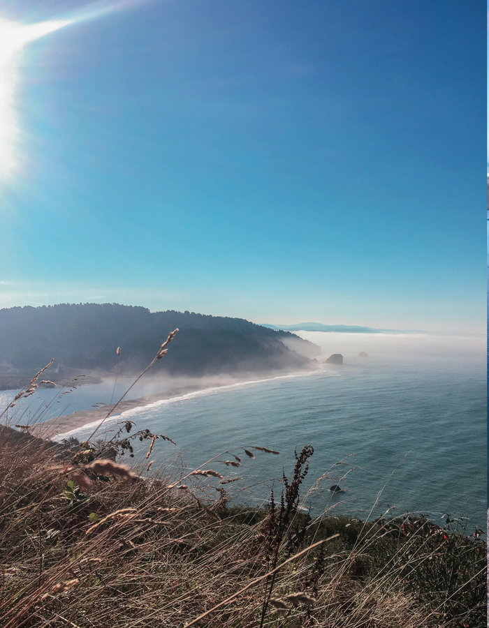 The view from Klamath River Overlook