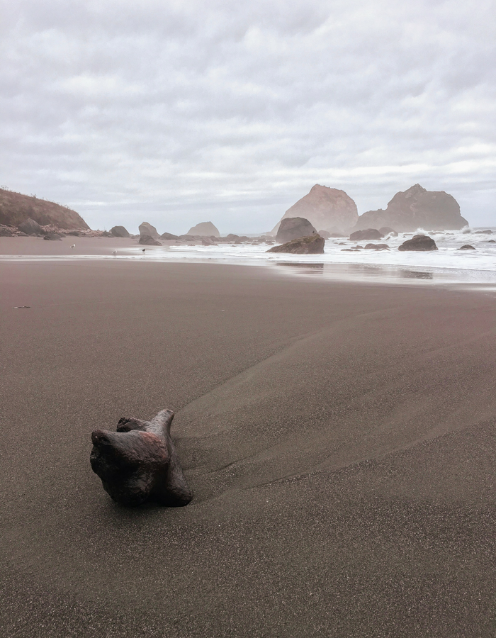 A lonely piece of driftwood at False Klamath Cove