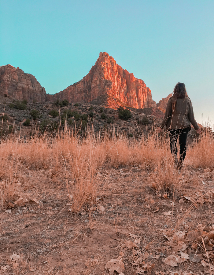 A view of the cliffside from Pa'rus Trail - an easy hike in Zion National Park