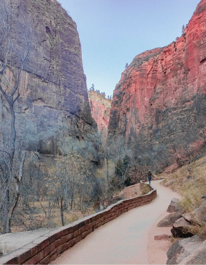 Riverside Walk - an easy hike in Zion National Park