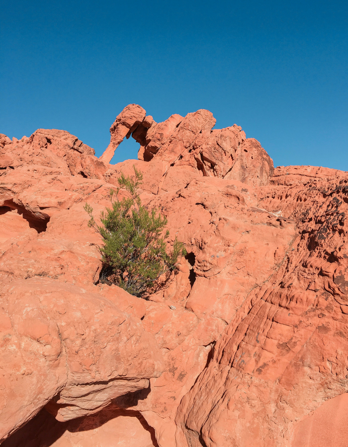 Elephant Rock in Valley of Fire State Park