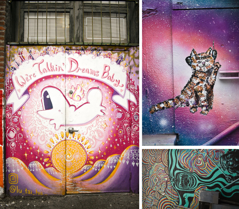 Street Art in Boise: We're Talking Dreams Baby, Astro Kitty, Rainbow Swirl Pink Floyd