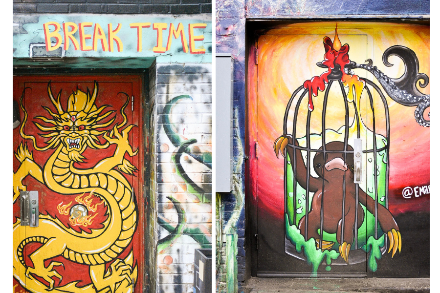 Street Art in Boise: Two Painted Doors - a dragon and a caged sloth