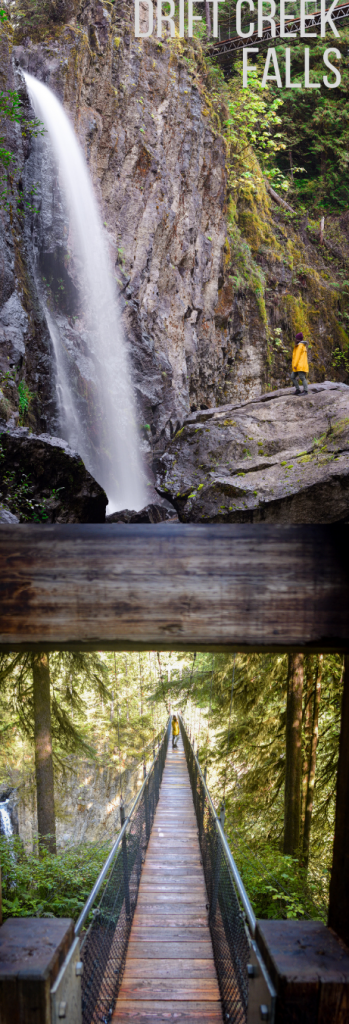 Drift Creek Falls pinterest graphic