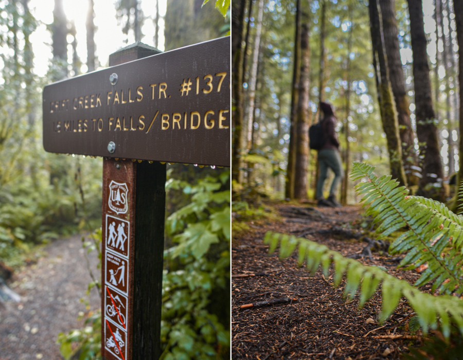 Hiking along the Oregon Coast - the Drift Creek Falls trail sign. 1.3 Miles to the waterfall and suspension bridge