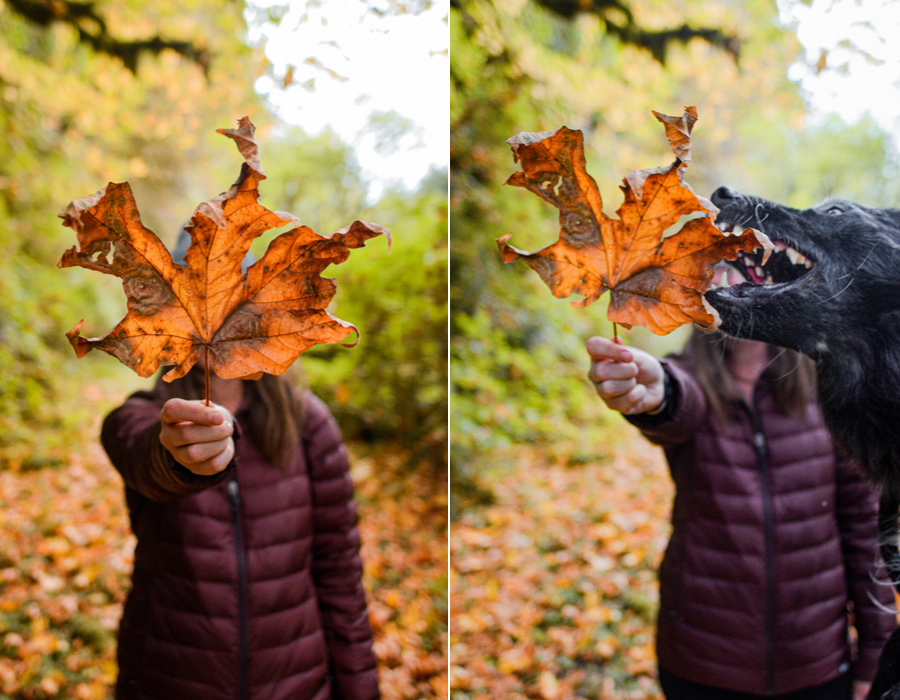 Clothes for Fall Camping + Hiking: Playing with fallen maple leaves
