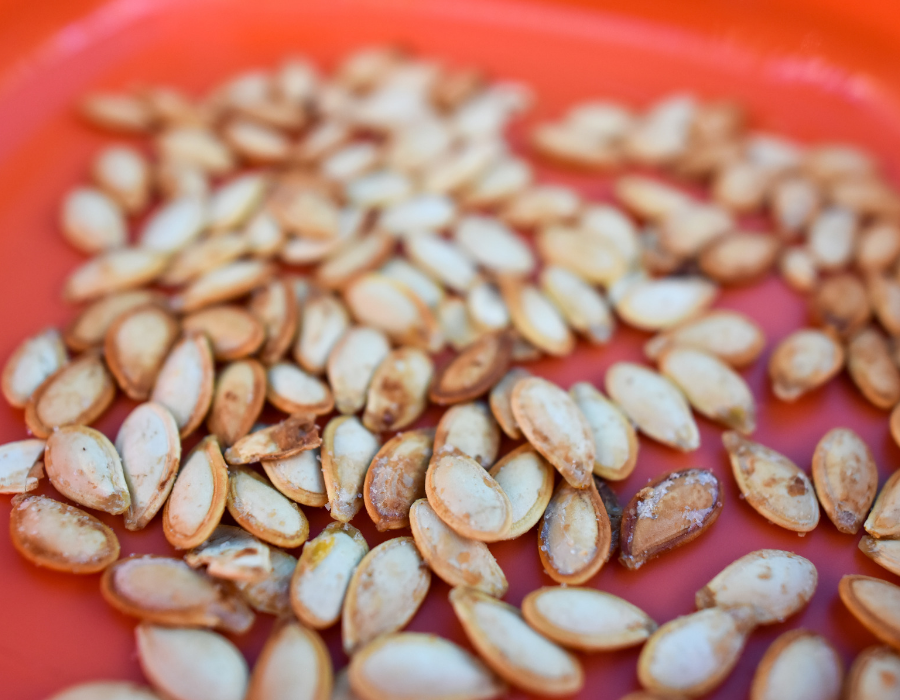 Toasted pumpkin seeds are a fun and easy Halloween snack for fall camping