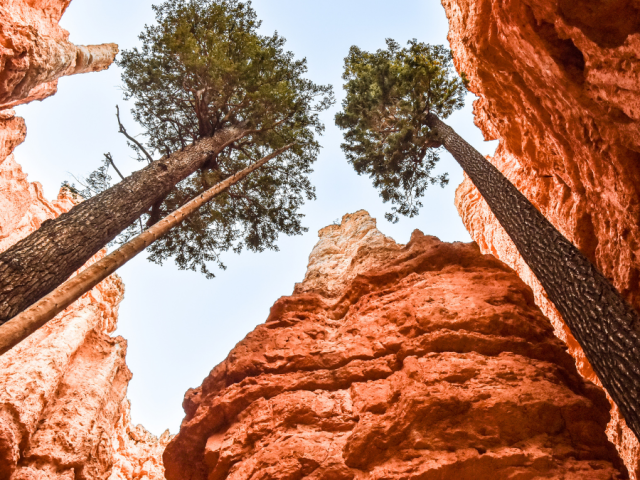 One day itinerary for Bryce Canyon National Park