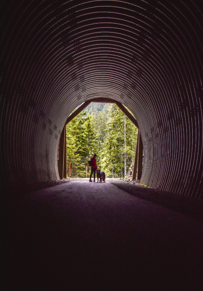 Spruce Railroad Trail Olympic National Park