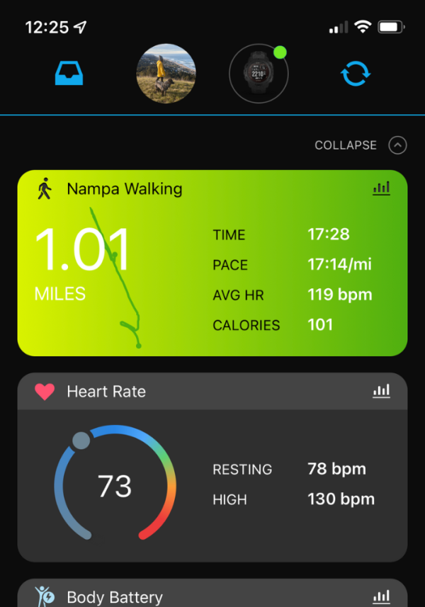 garmin offline music