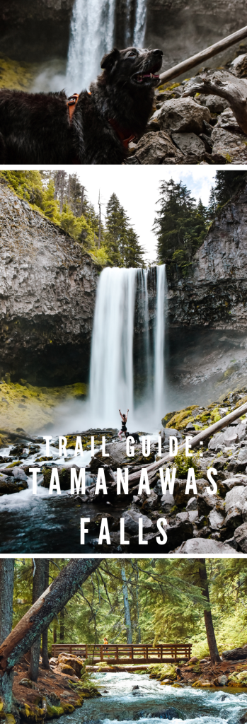 Trail Guide for the Tamanawas Falls Trail in Mt. Hood Oregon