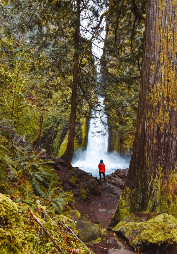 The Best, Easy Waterfall Hikes in the Columbia River • Reckless