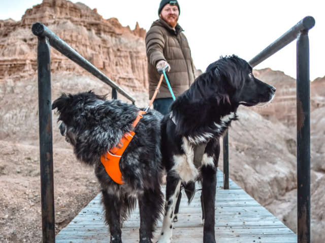 How to Find the Perfect Trail for Your Hiking Dog [It’s More Than Searching ‘Dog Friendly’]